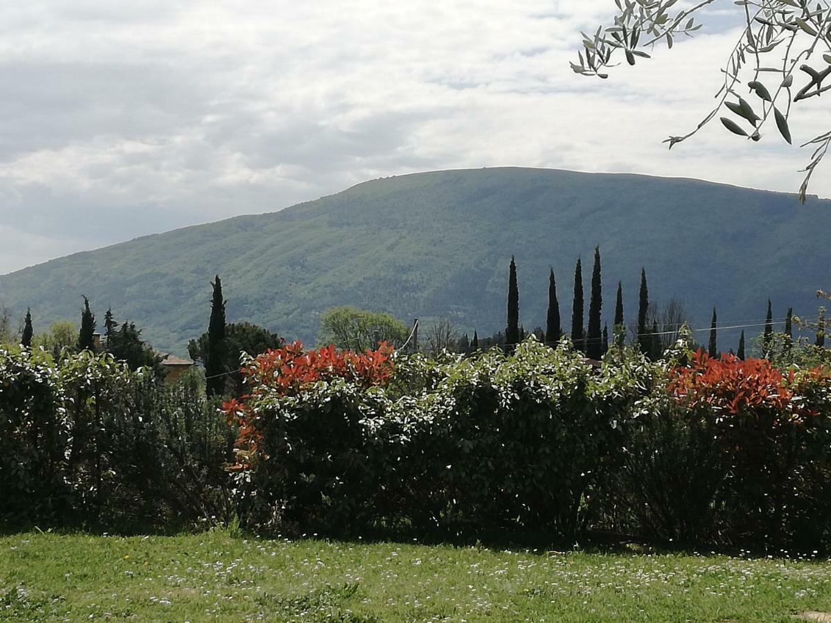 Colleparadiso Hotel Assisi Exterior photo